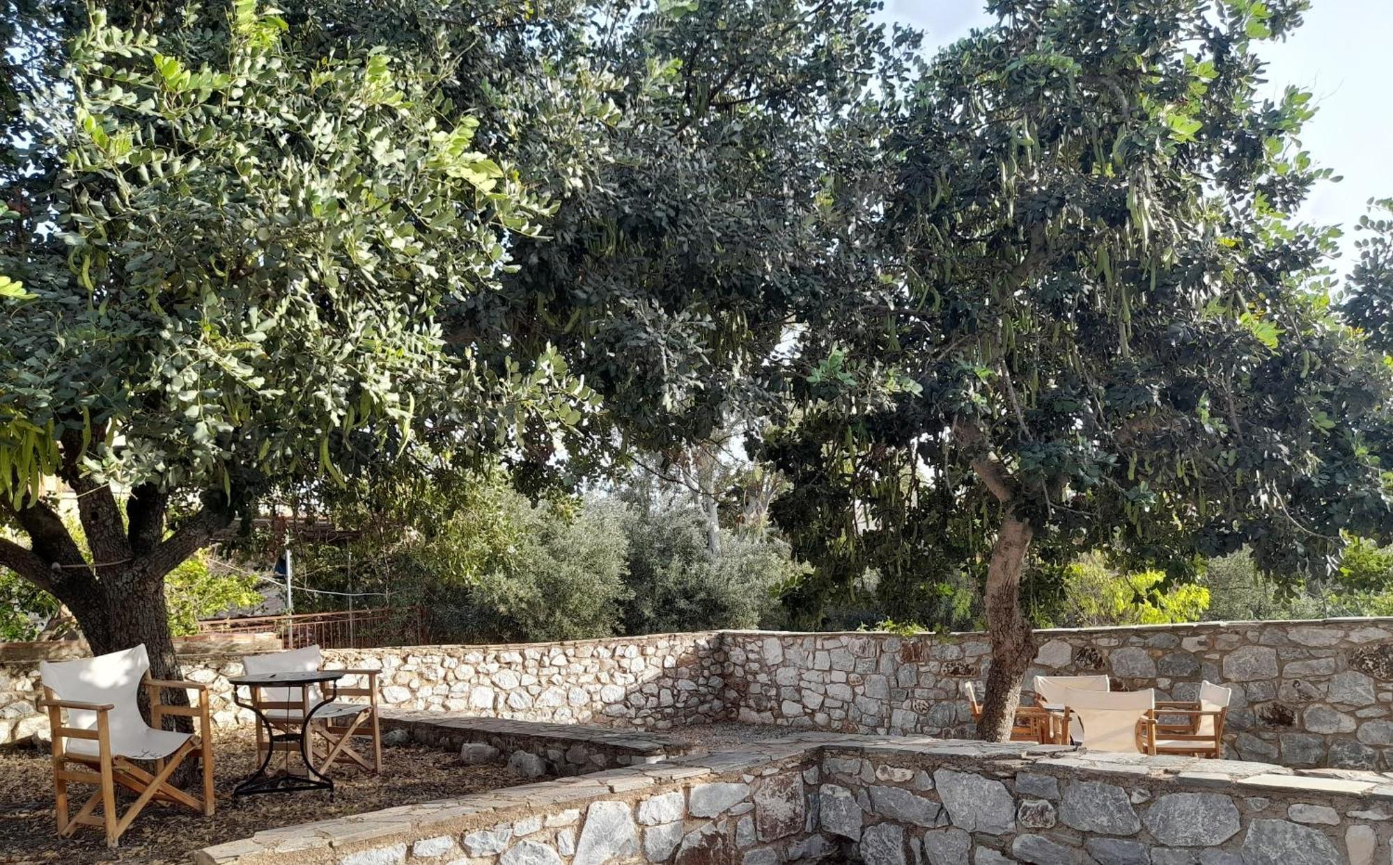 The Two Carob Trees, Traditional Stonehouse, Nikandri, Pirgos Diros Apartment Lefkias Luaran gambar